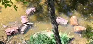 Photo: water with litter