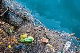 Photo: water with litter