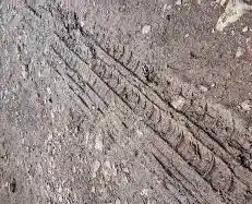 Photo: tire treads