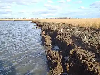 Photo: shoreline