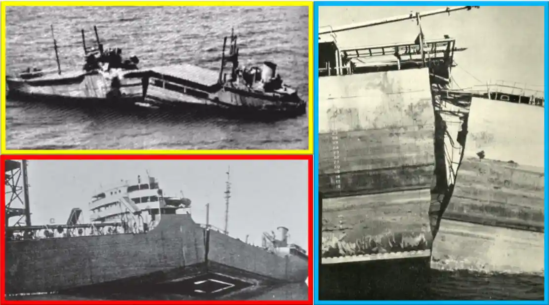 War Ships Splitting • Edheads