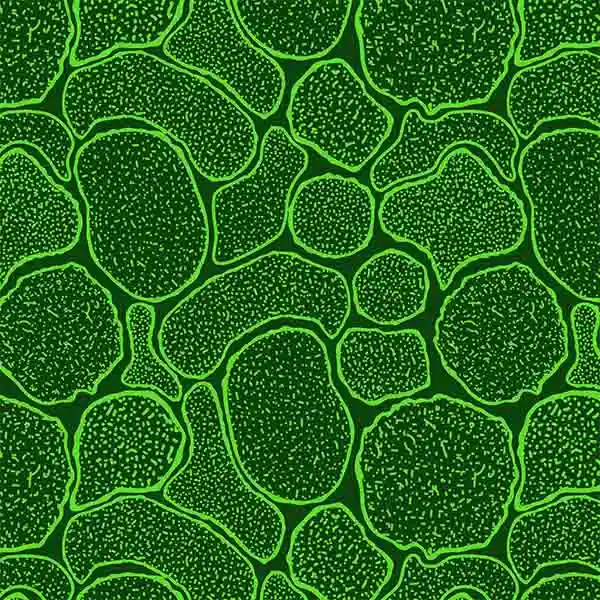 Cells Background